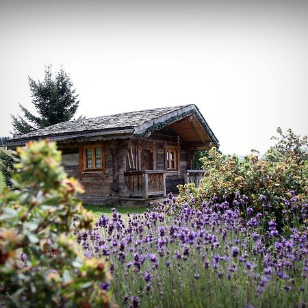 Hotel Le Manoir Des Montagnes Les Rousses Exterior foto